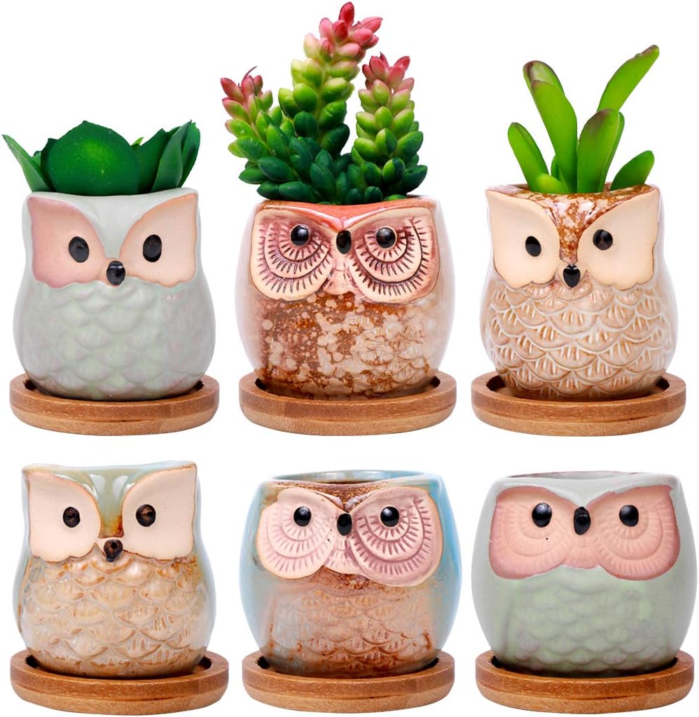 ROSE CREATE 6 Pcs 2.5 Inches Owl Pots with Bamboo Trays