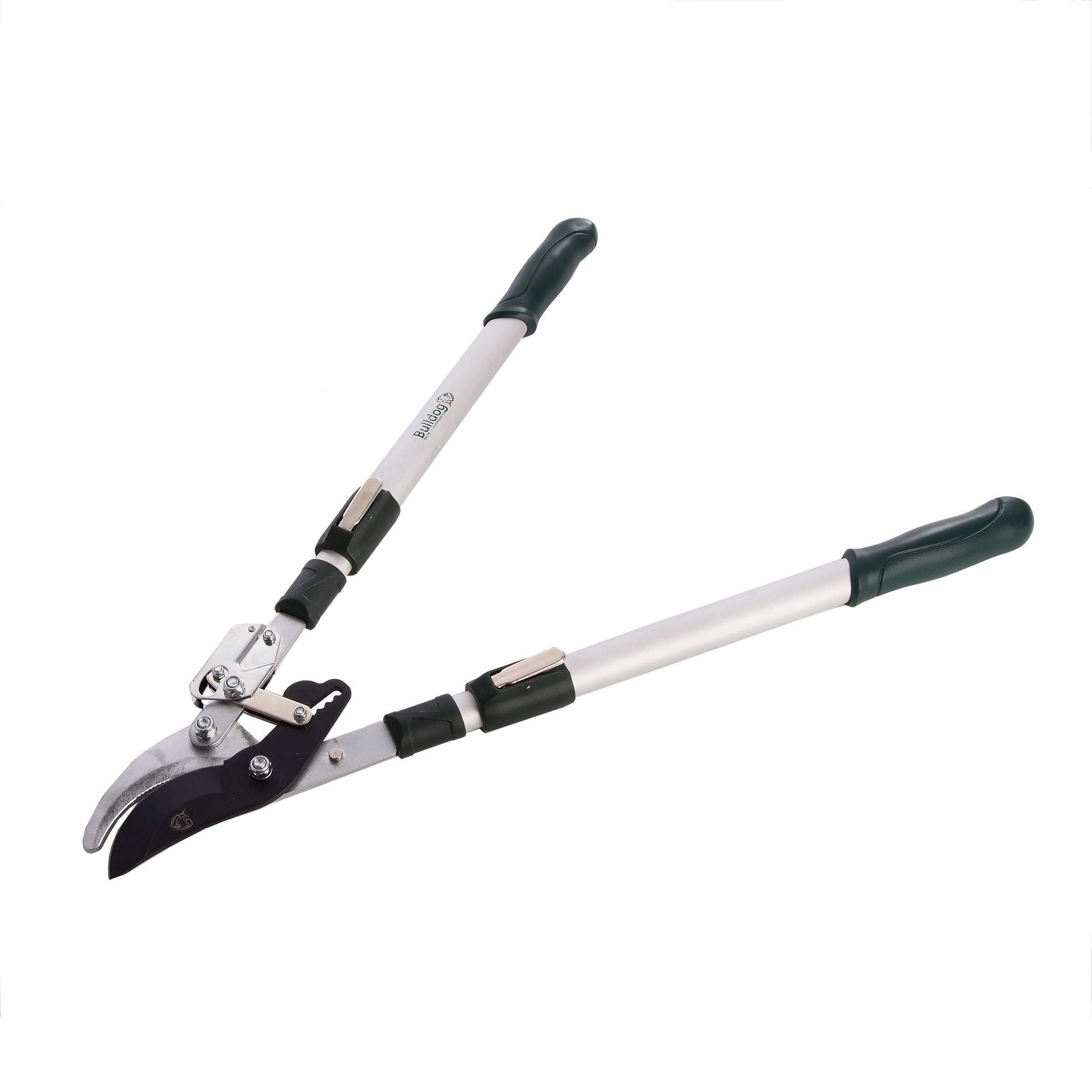 Bulldog BD3110TA Premier Bypass Ratchet Lopping Shears