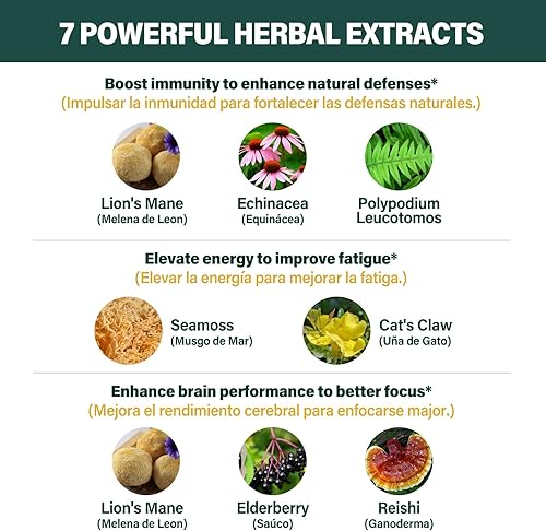 Miniatura 4 de Gotas líquidas de melena de leones (Melena de Leon), suplemento altamente biodisponible con equinácea, musgo marino para apoyo inmunológico, cerebro
