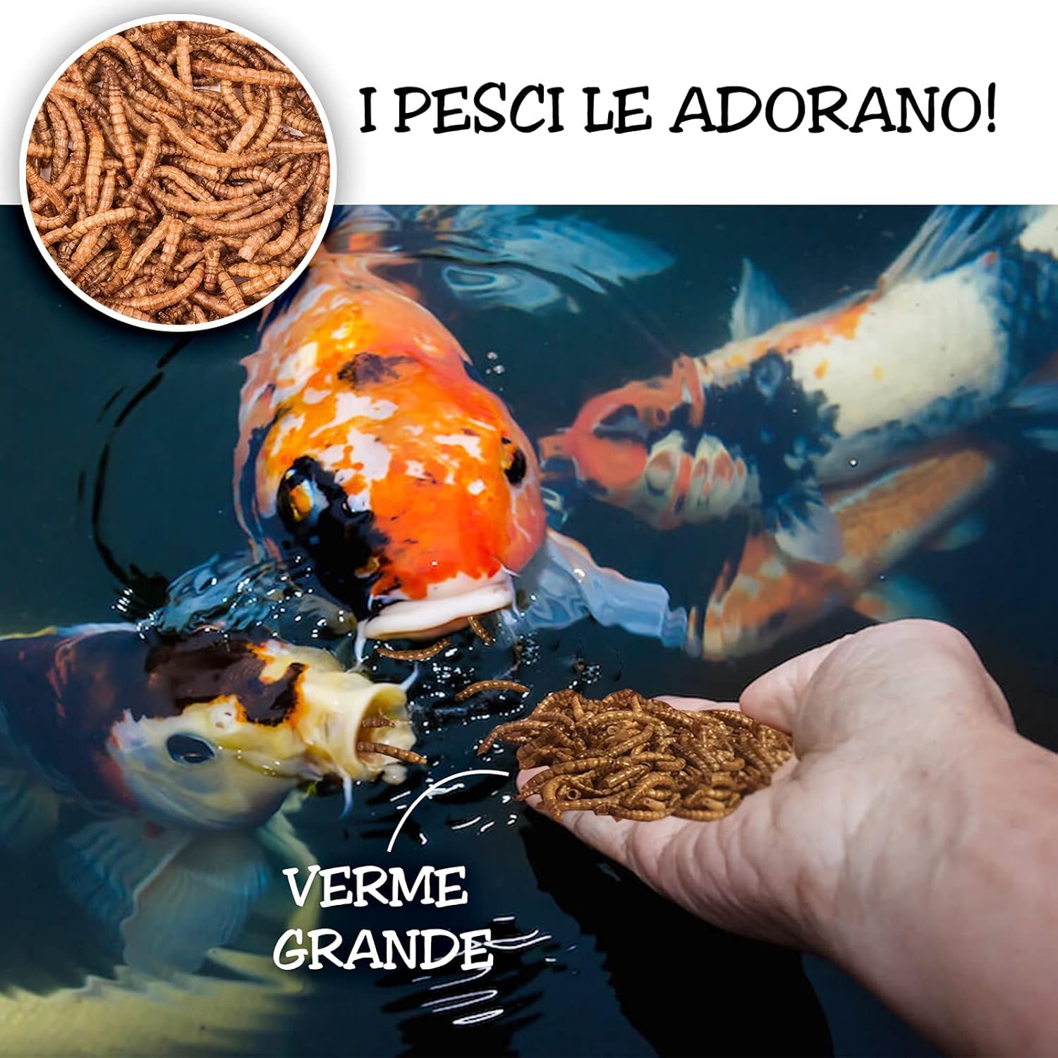 Detox Organica Camole della Farina Essiccate 160gr 1000ml Mangime per Uccelli Selvatici, Pesci, Tartarughe, Roditori, Rettili