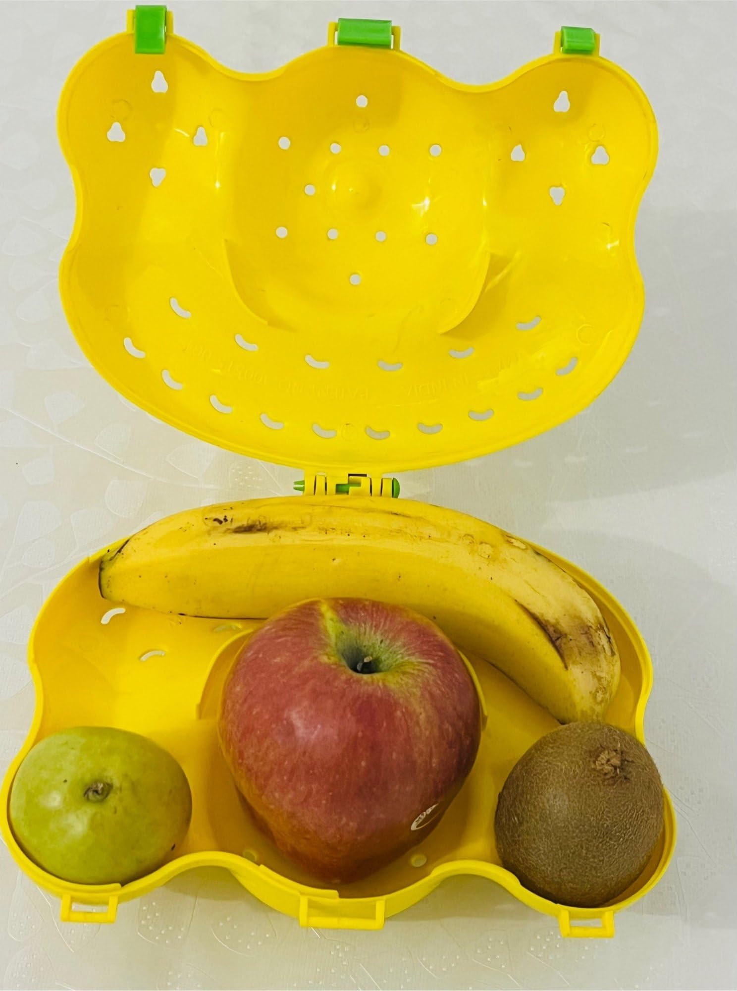 Kit Fruit Carry Case | Portable Storage Bag | Protector Box For Kids | Keeper for School, Office & Picnic-image-41