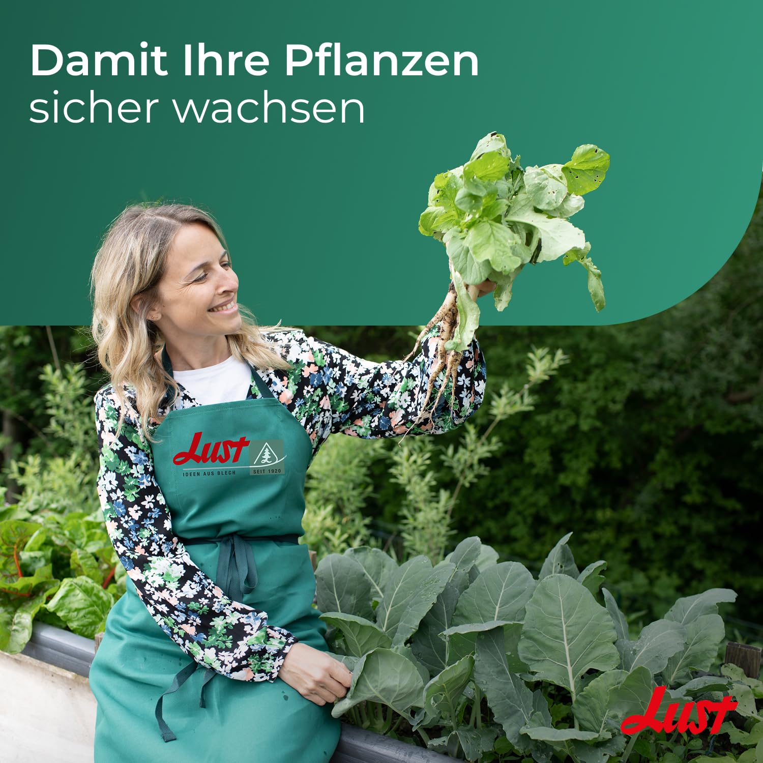 Lust Ideen aus Blech Typ 01 VDH Zink 12er Set 8 x 1,0 m Schneckenzaun und 4 x Eckverbindung 90° Weitere Auswahlmöglichkeiten