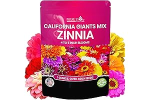NatureZ Edge Zinnia Seeds: California Giants Mix Giant Zinnia Seeds for Planting Outdoors