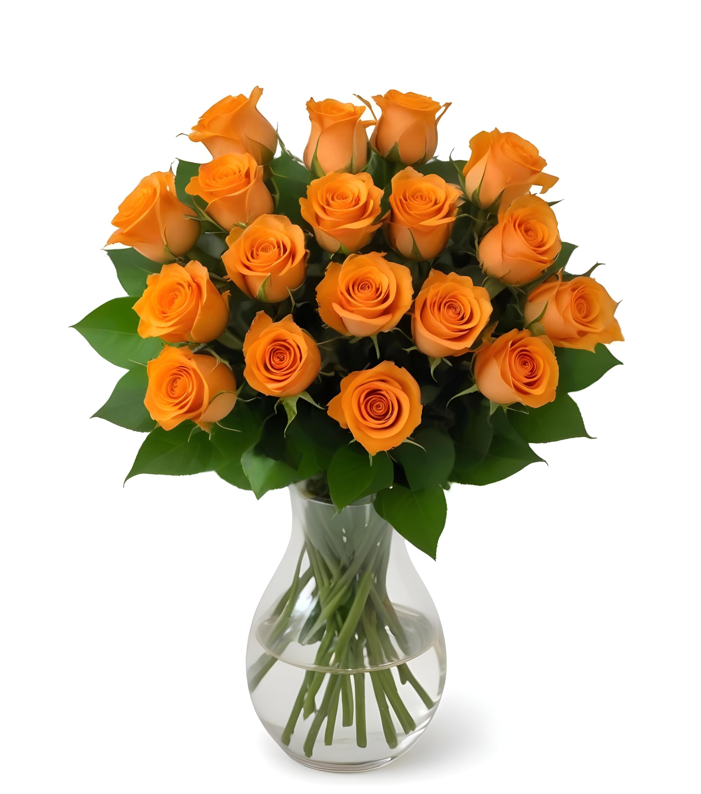 Amazon.com : 18 Orange Roses | Arabella Bouquets | Real Fresh