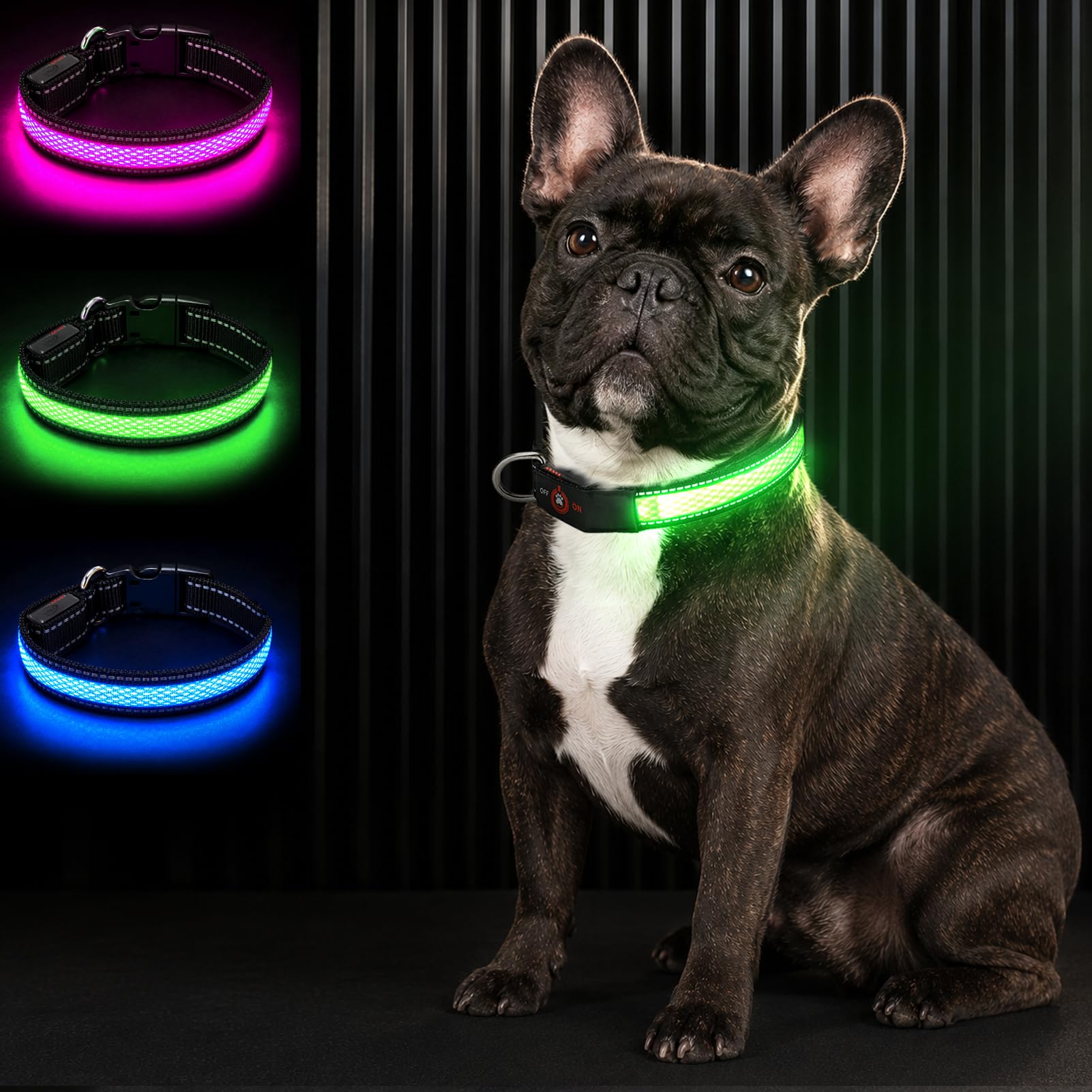 Bamda LED Light Up Dog Collar for Small Dogs & Cats, Green S