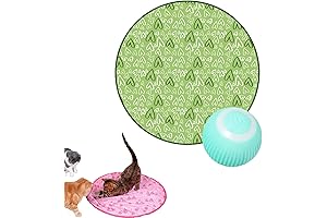 Whisker Fun 2-in-1 Interactive Cat Toy for Enhanced Hunting Instincts