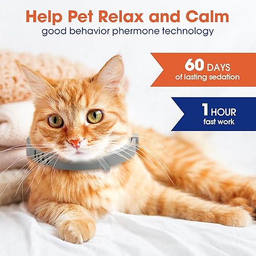 Miniatura 4 de Zooblu Collar calmante para gatos  Collar calmante para gatos de 15 pulgadas, alivio de la ansiedad de los gatos, dura 60 días, collar calmante de