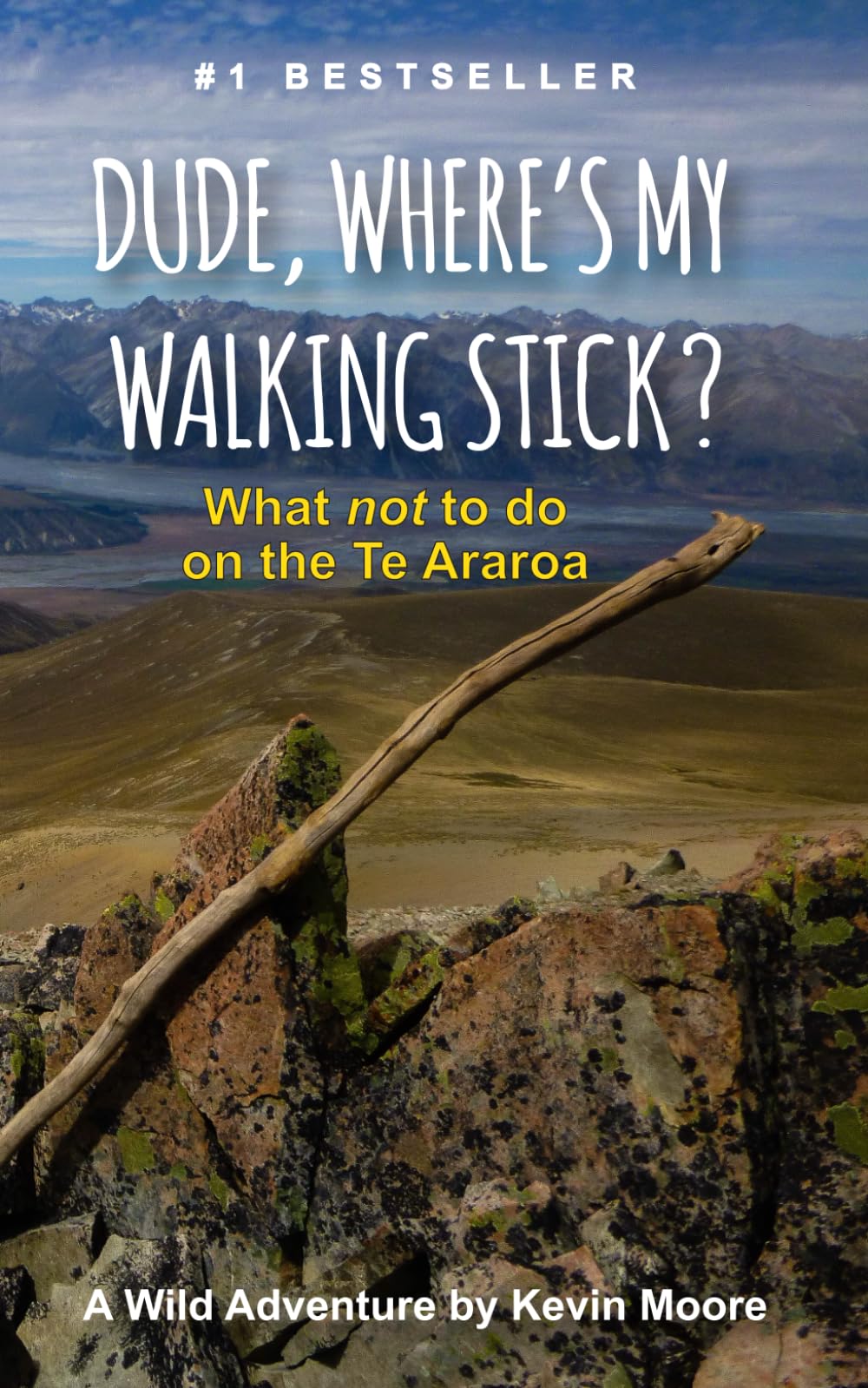 Dude, Where's My Walking Stick?