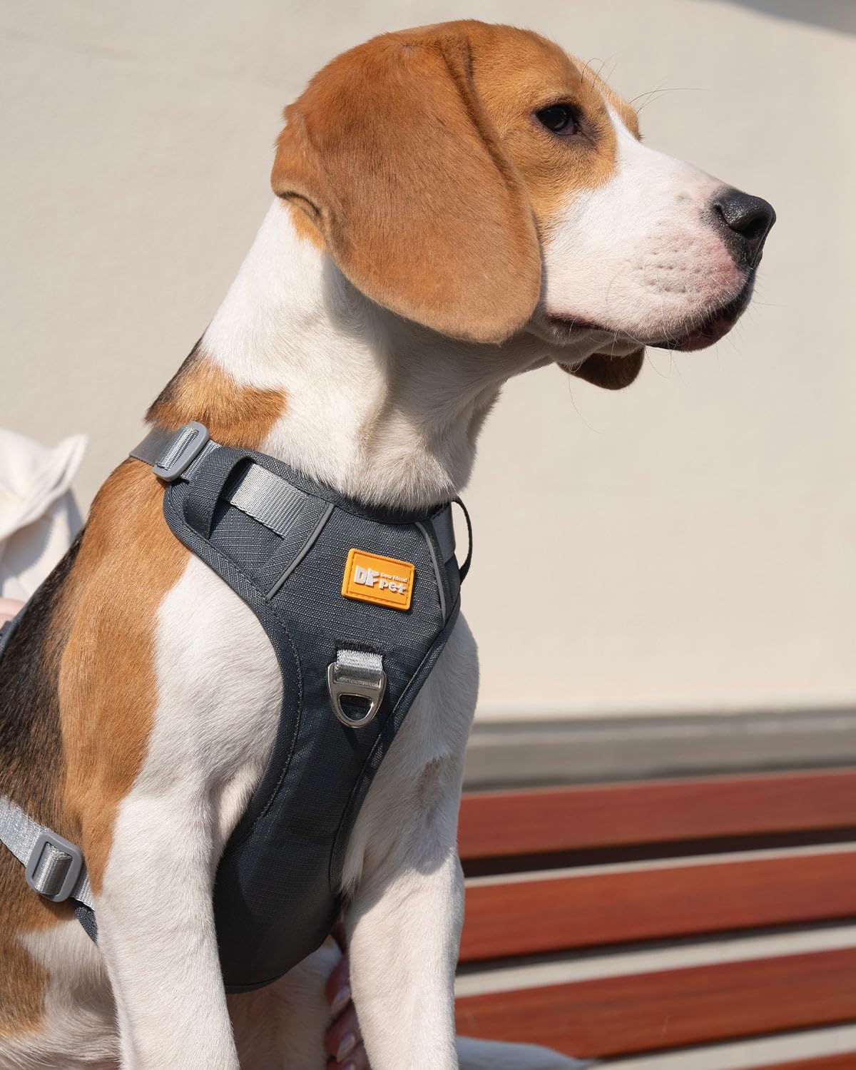 DF No Pull Martingale Dog Harness, Easy Walking & Escape Proof, Reflective & Adjustable Fit, No Twist Front Clip Harness with Handle and Zippered Pocket, Gray, 1", Chest 32"-42" - image 5