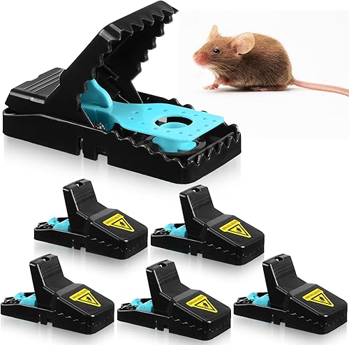 Kittmip Trampas para ratones para casa, interiores y exteriores, trampas pequeñas para ratones, reutilizables, atrapa ratones de rápida eficacia
