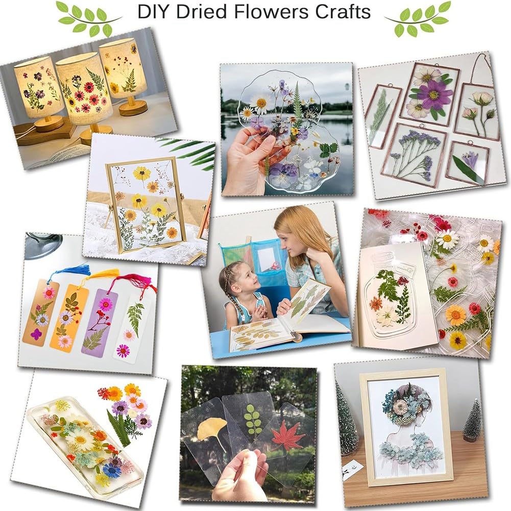 Kit di pressatura di fiori fai da te Kit professionale di pressatura di fiori 30 x 21 cm per adulti per realizzare fiori secchi e arti di pressatura di fiori