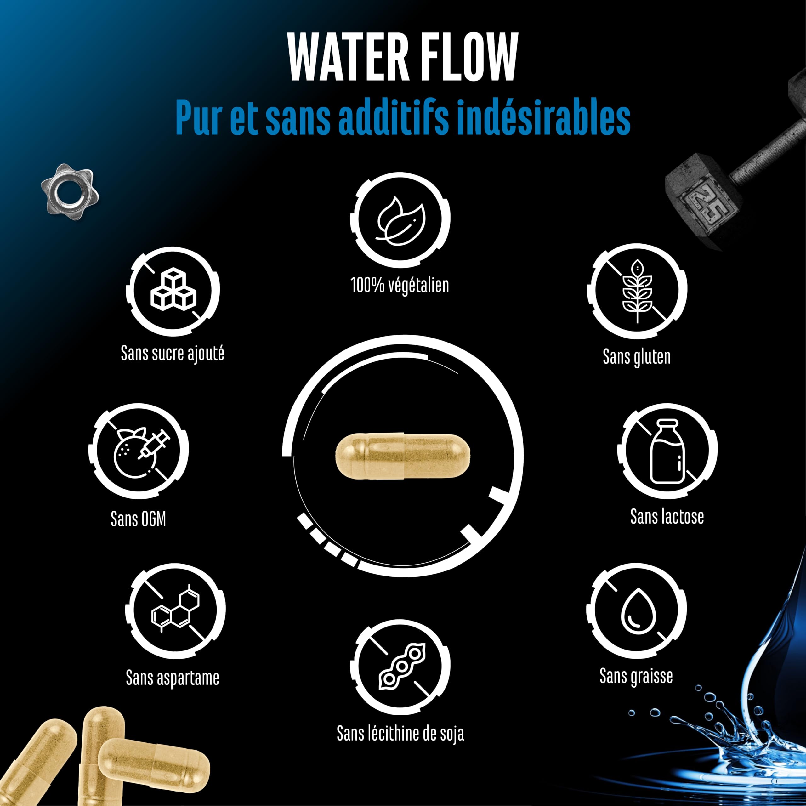 Water Flow Complexe - 180 capsules - Avec Ortie, Pissenlit, Thé Vert, Artichaut et Canneberge - Formule Végétale sans Comprimés Diurétiques Chimiques - Végan, Hautement Dosé