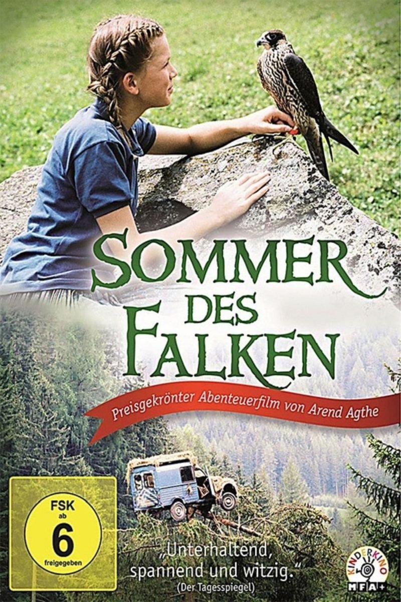 Sommer des Falken (DVD) (FSK 6)