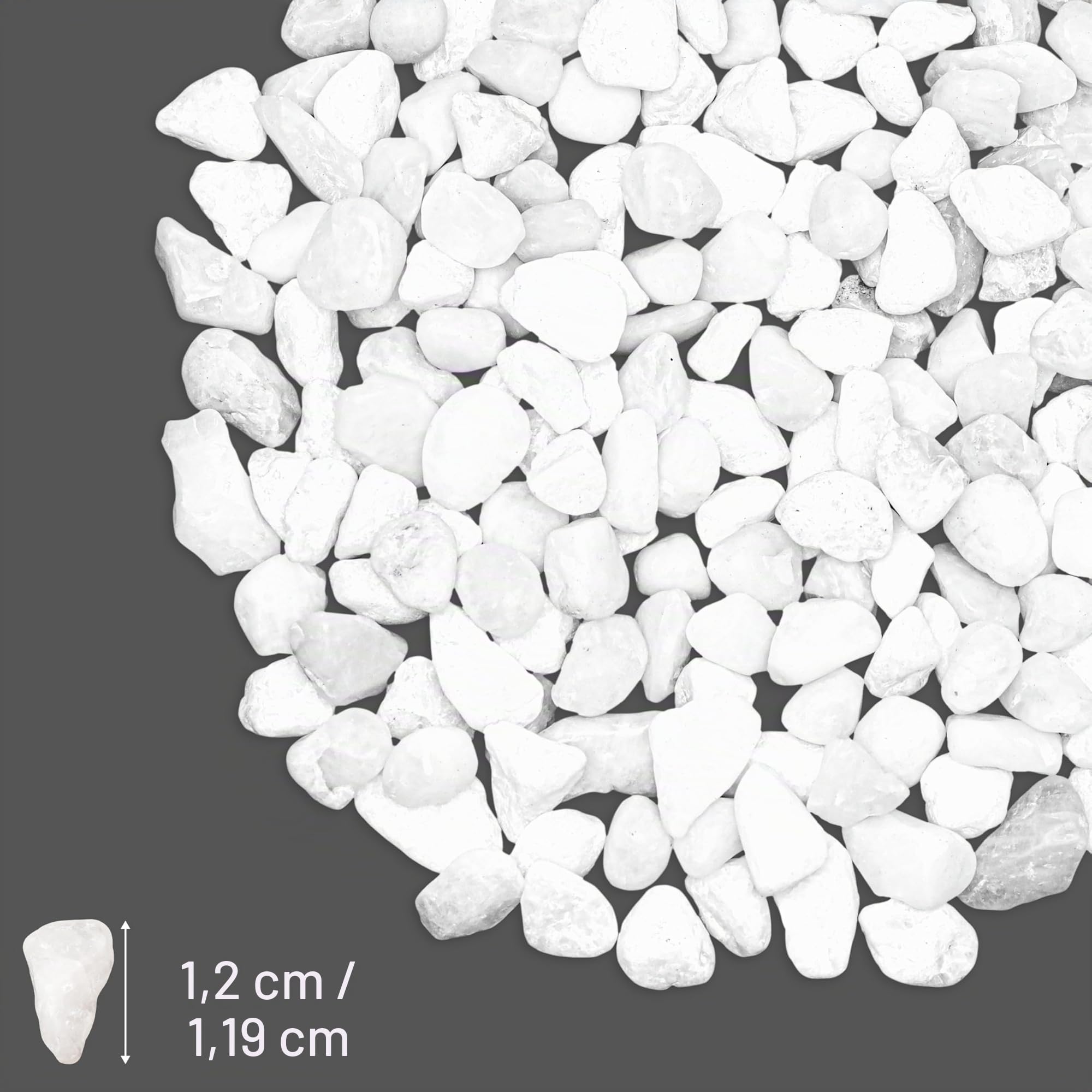 BELLE VOUS Piedras Blancas para Jardin - 3,6 kg de Piedras Decoracion Macetas Blancas - Formas Variadas 1,2 cm - Grava Jardin para Relleno de Jarrón Macetas Paisajismo Acuario Hogar