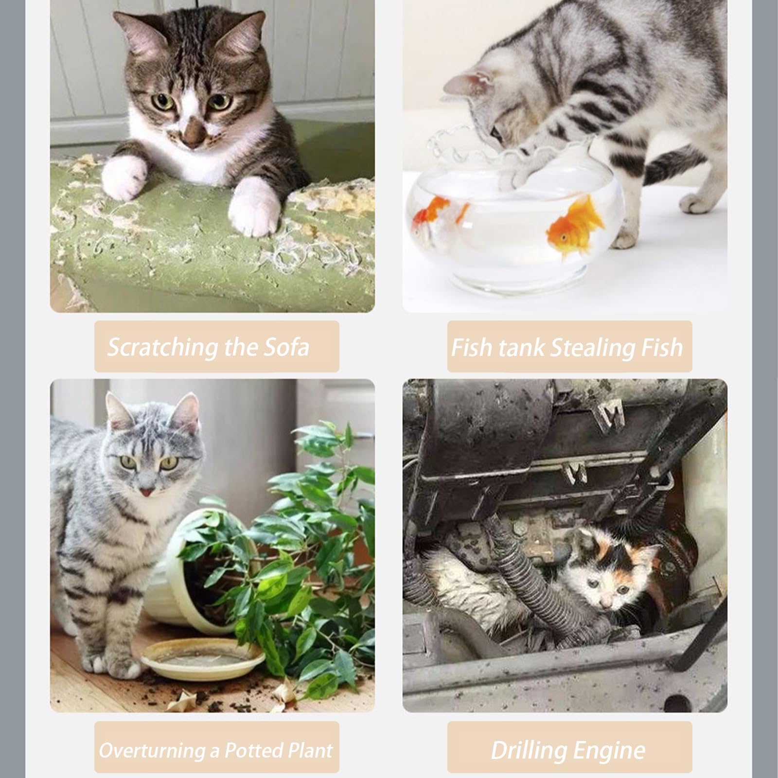 Alfombrilla Anti Gatos, Rejilla Antigatos 10 Unidades | Pinchos Disuasorios para Jardín y Balcón | Protección Duradera Interior/Exterior | PP Reciclado, Antideslizante 42 * 34cm (12, Transparente)