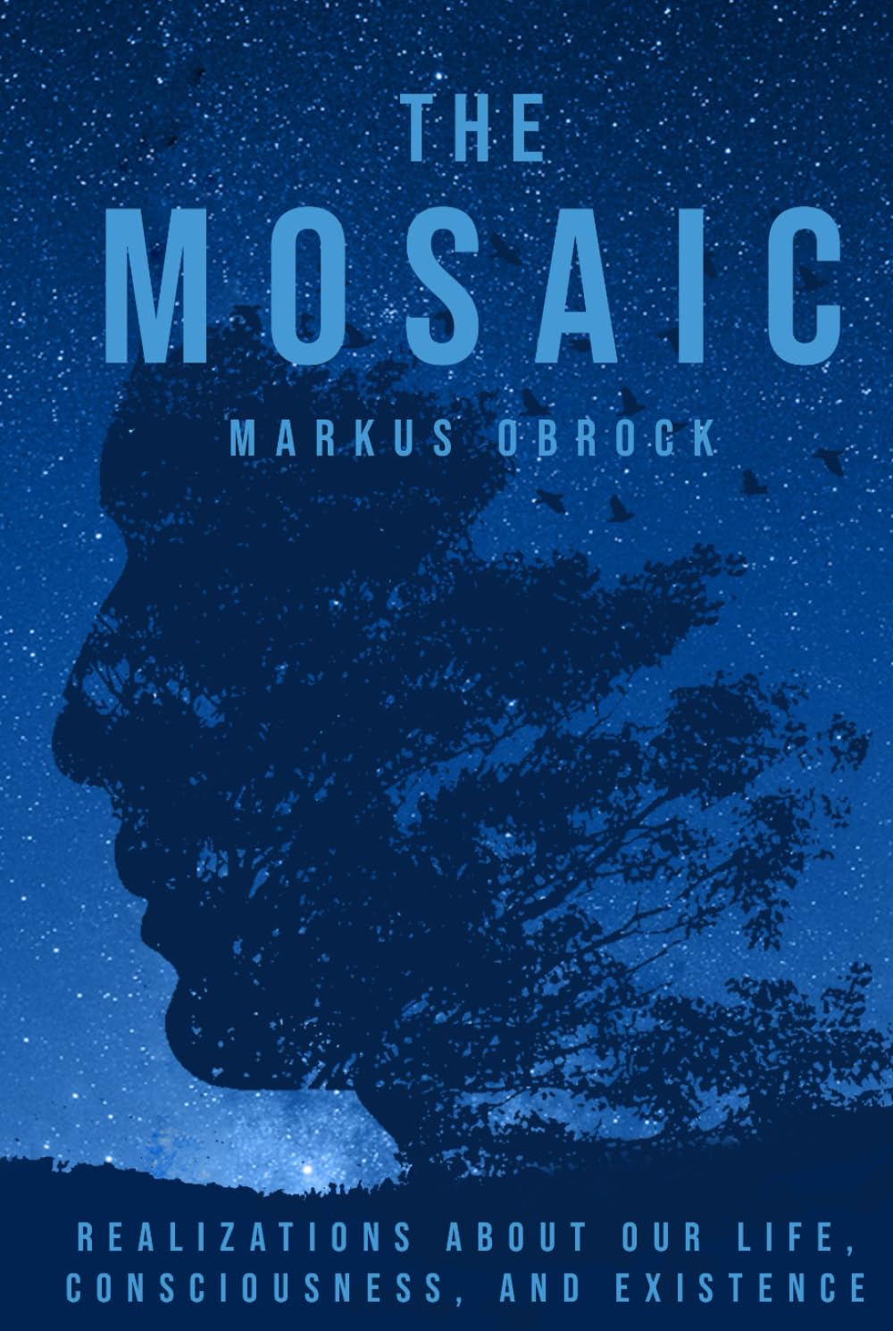 The Mosaic: Realizations about Our Life, Consciousness, and Existence