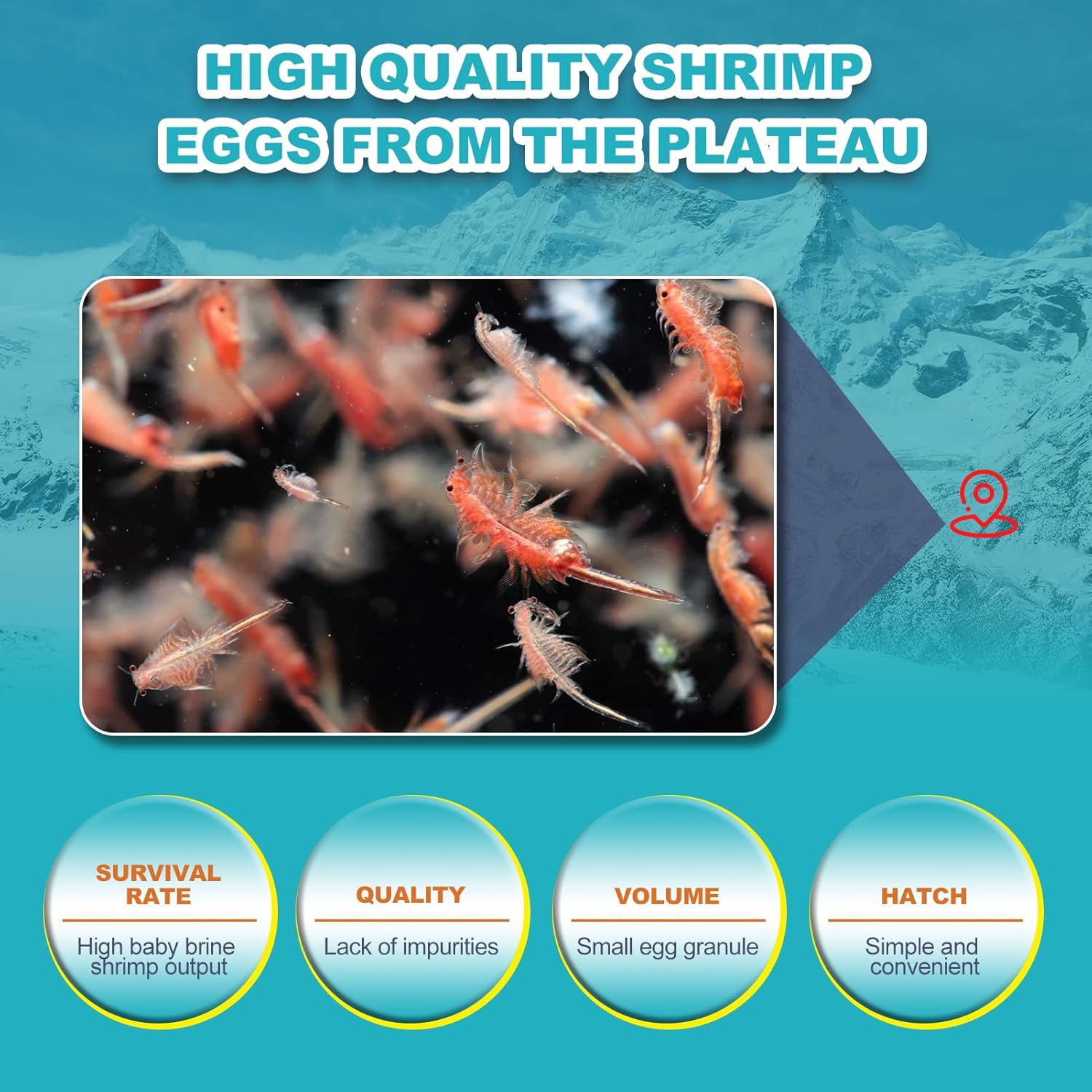 Dylan's cabin Brine Shrimp Eggs Fish Food - 90% Hatch Rate for Aquatic Foods Baby Aquarium Fish Freshwater Saltwater Marine Tank Hatchery Fry 150G