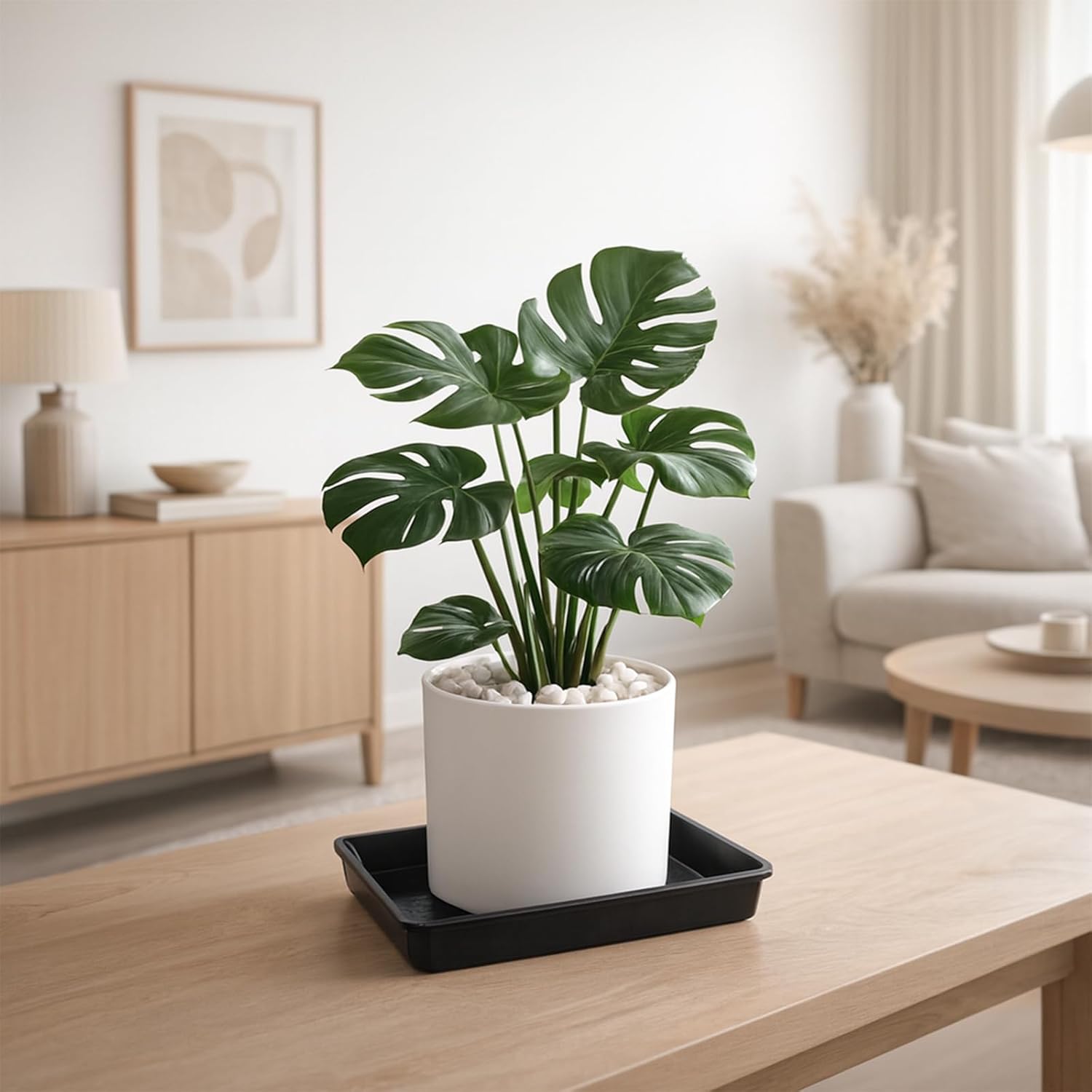 10 Pack Square Plant Saucer 18 Inches Plant Trays for Pots Plastic Round Drip Trays Flower Pot Saucers Black Planter Water Tray Plant Drainage Tray, Black