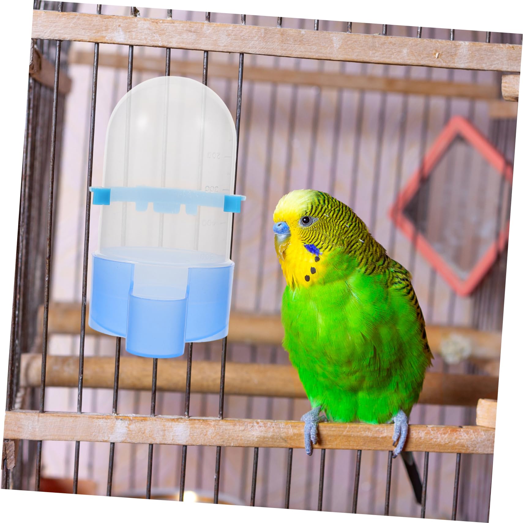BESPORTBLE 4pezzi Mangiatoia Automatica Per Uccelli Con Distributore e Cibo Bevitore Multifunzione Per Pappagalli e Uccelli Domestici Realizzato Materiali Resistenti e Durevoli Facile Da