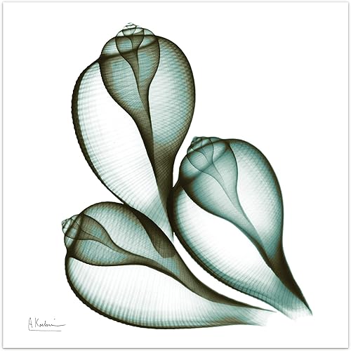 Empire Art Direct Panel gráfico de vidrio templado flotante sin marco, listo para colgar, 24 x 24 pulgadas, serenidad costera II