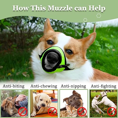 Miniatura 8 de Bozal para perro, bozal de malla suave para perros pequeños, medianos y grandes, caniches chihuahua, beagle, perro salchicha Corgis Labrador dorado,