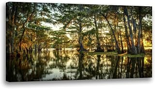 Large Framed Wall Art Ready to Hang 20" x 40" louisiana swamp wetlands days and pictures Canvas Print Artwork Wall Art Painting Pictures Home Office Wall Décor Modern Poster