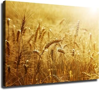 ZJWZJY Wheat Field Sunset Golden Wheat Poster Decorative Painting Modern Picture Canvas Wall Art Bedroom Office Living Room Decoration (12x16inch Unframed)