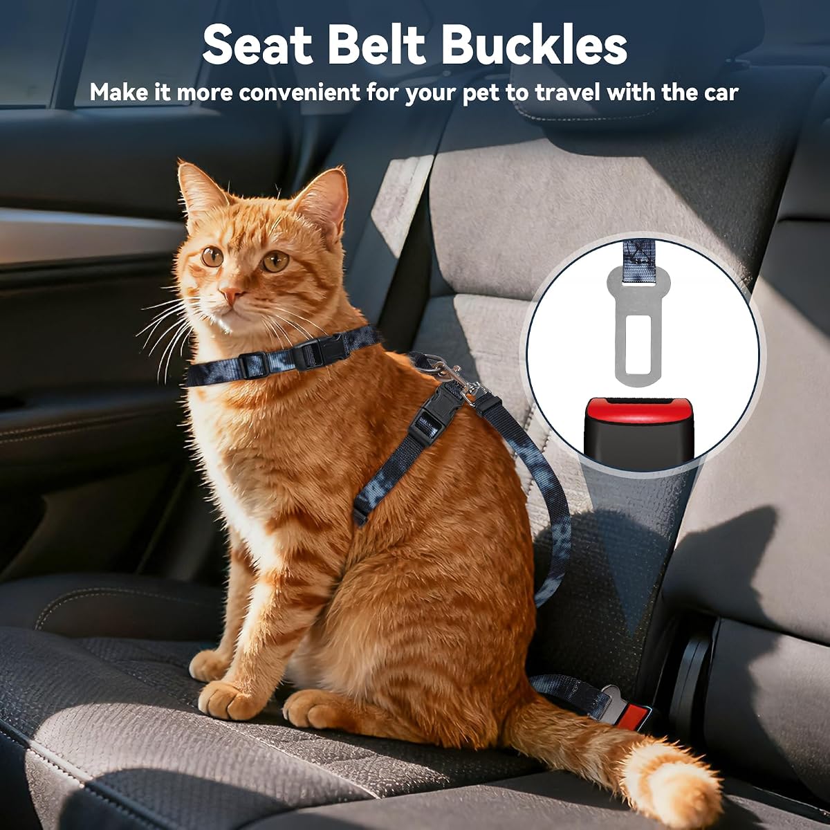 PetSafe Come With Me Kitty Harness and Bungee Leash, Harness for Cats, Large, Black/Silver, CWMK-L-BLK view 3