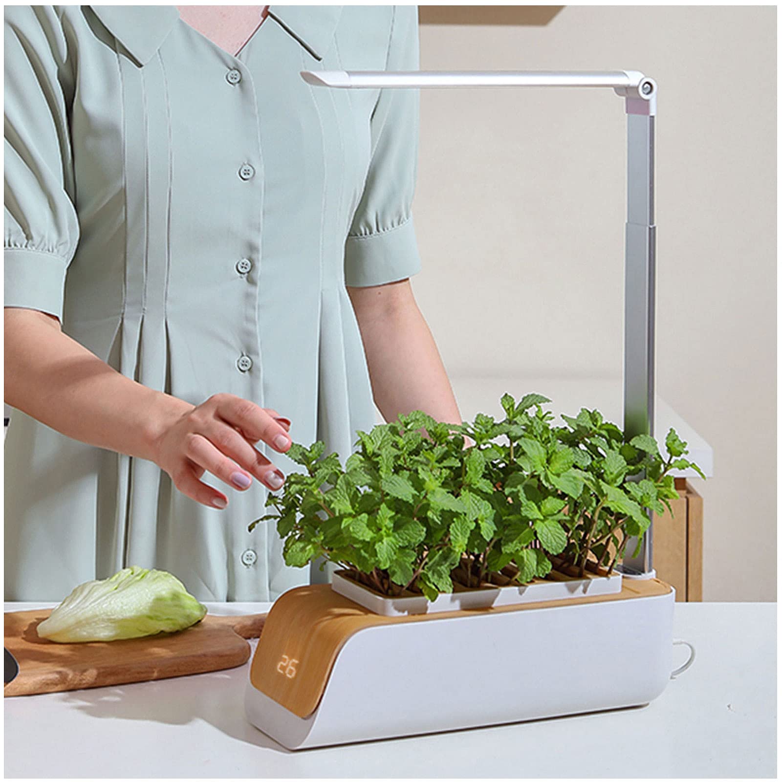 Kit hidropónico para Interior, lámparas para Cultivo de Plantas, indicador de bajo Nivel de Agua, Control Inteligente de Chips, Kit de Cultivo para Interior de Plantas, para adorna