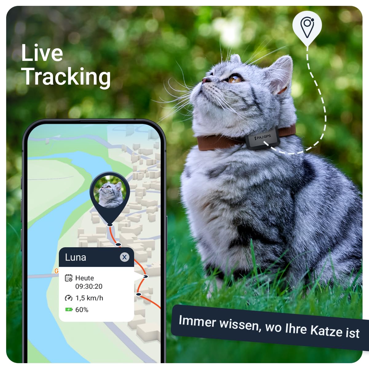 PAJ GPS Tracker Mini für Katzen inkl Katzenhalsband (Sicherheitsverschluss) | 4G - Live-Ortung in Europa - Weglaufalarm - Geozaun - 100% Wasserdicht - Mini Katzen GPS-Tracker für Freigänger - schwarz
