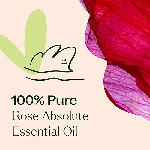 Miniatura 5 de Plant Therapy Aceite esencial Rose Absolute 100% puro, sin diluir, aromaterapia natural, grado terapéutico, 0.3fl oz (13 oz)