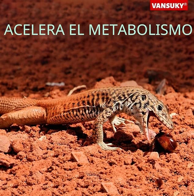 Foto 3 de 6 de VANSUKY Emisor de Calor Cerámico 100W sin Luz para Reptiles