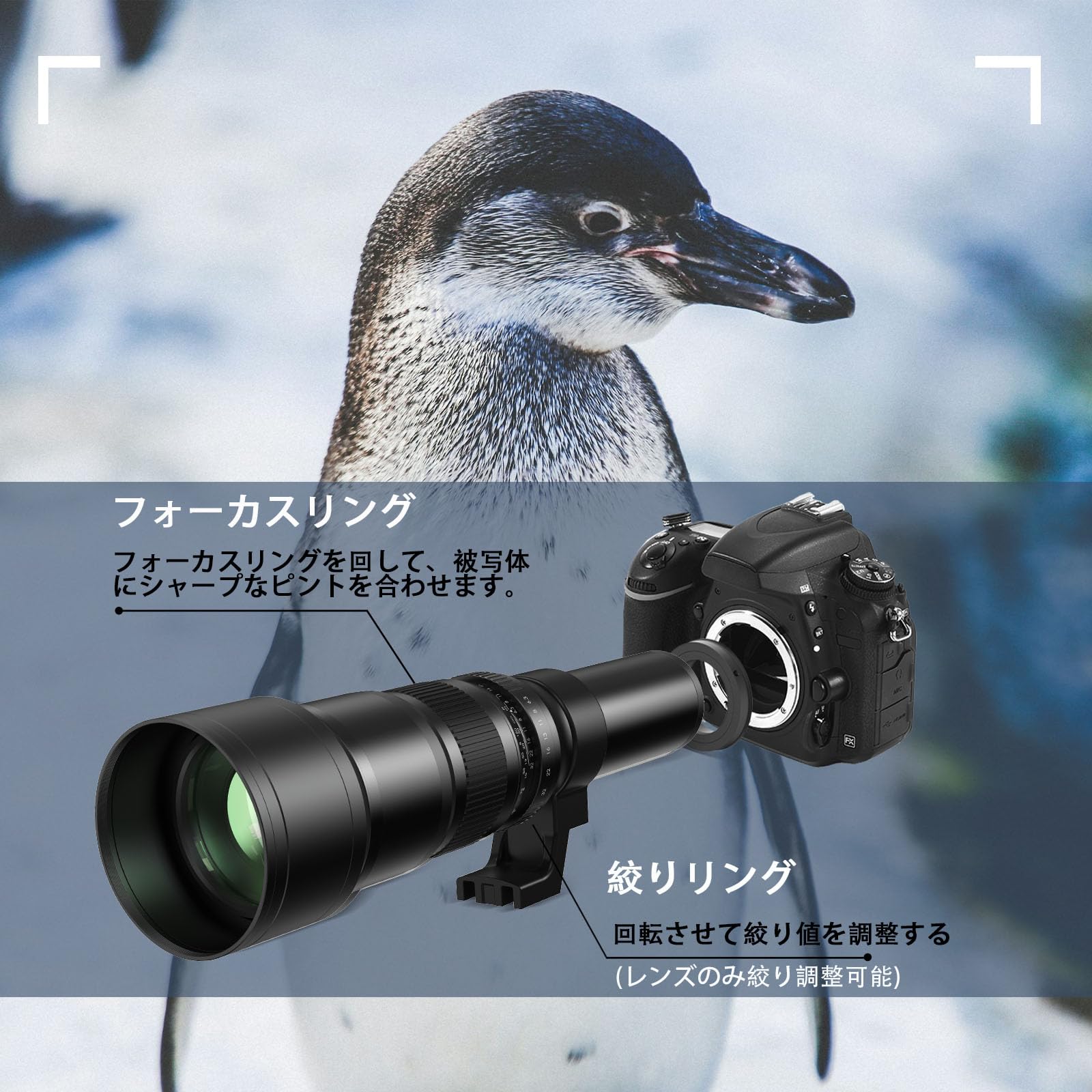 Lightdow 500mm F/6.3-32大型 望遠レンズ Amazon.co.jp: Lightdow 500mm F/6.3-32大型 望遠レンズ一眼レフレンズ
