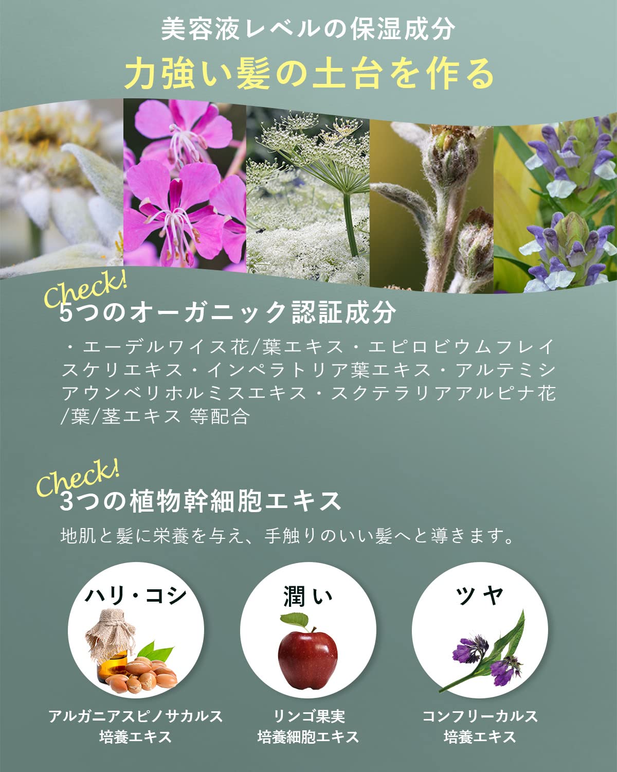 Amazon | SYNC men 's メンズ シャンプー トリートメント セット 各