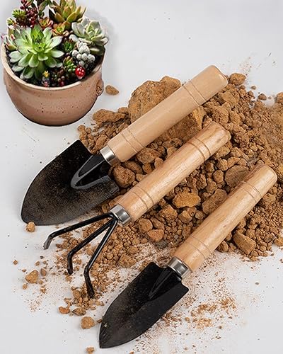Juego de herramientas de jardinería de 3 piezas, pala de mano, paleta y rastrillo para plantas de interior y exterior, diseño ergonómico, ideal para