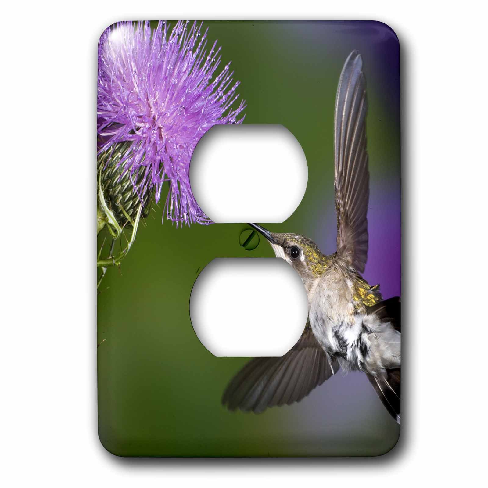 Colibri à gorge rubis plaque double prise murale 3dRose lsp_83636_6 décor nature