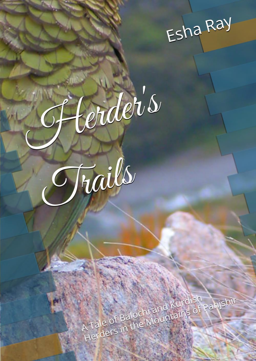 Herder's Trails: A Tale of Balochi and Kurdish Herders in the Mountains of Panjshir
