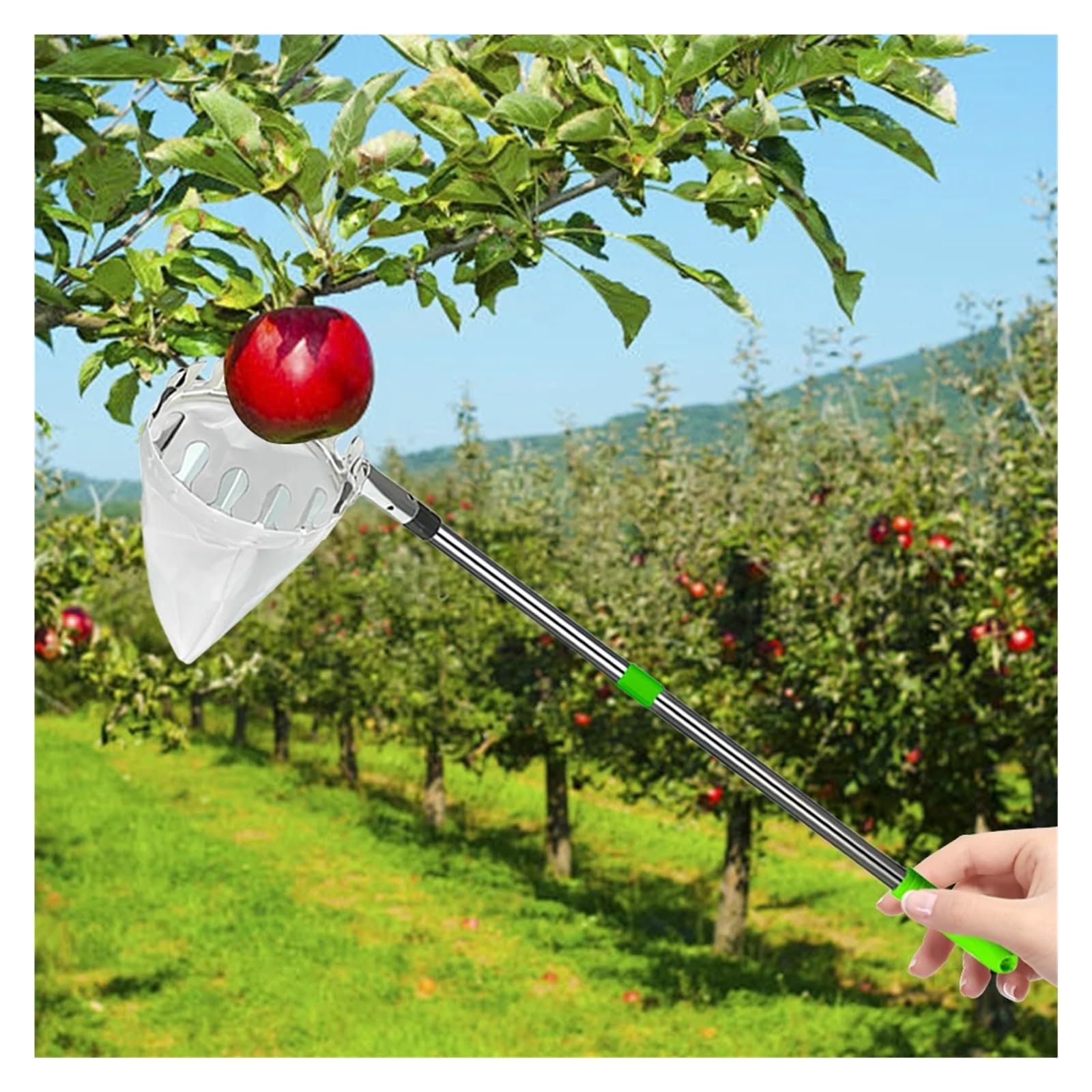 Cueille Fruit Telescopique Sac de Rangement for cueilleur Fruits en Acier Inoxydable(2.4M)