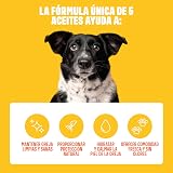 Ver la foto 4