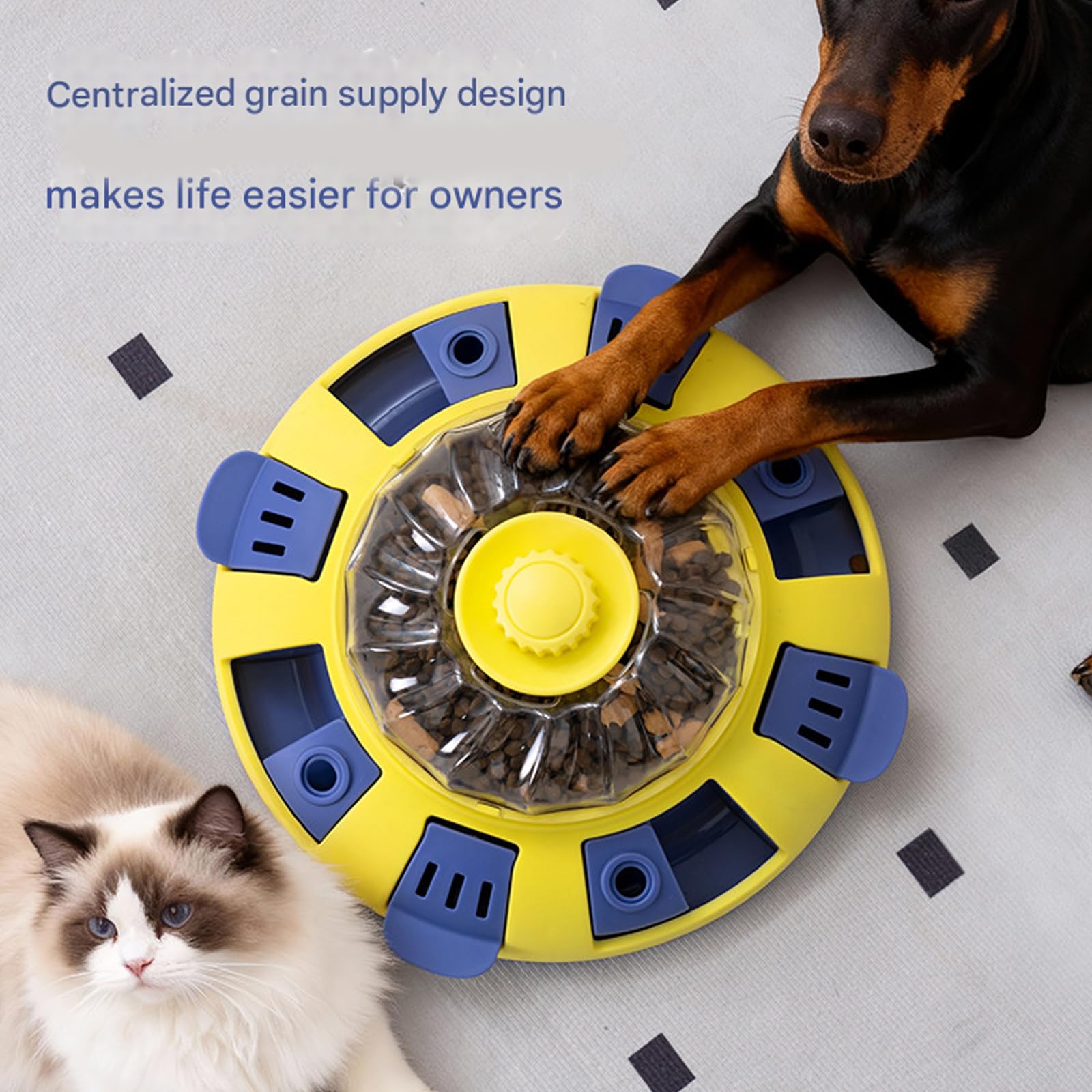 Jouet intelligent pour chien avec espace de récompense visible pour promouvoir les habitudes et les activités de réflexion