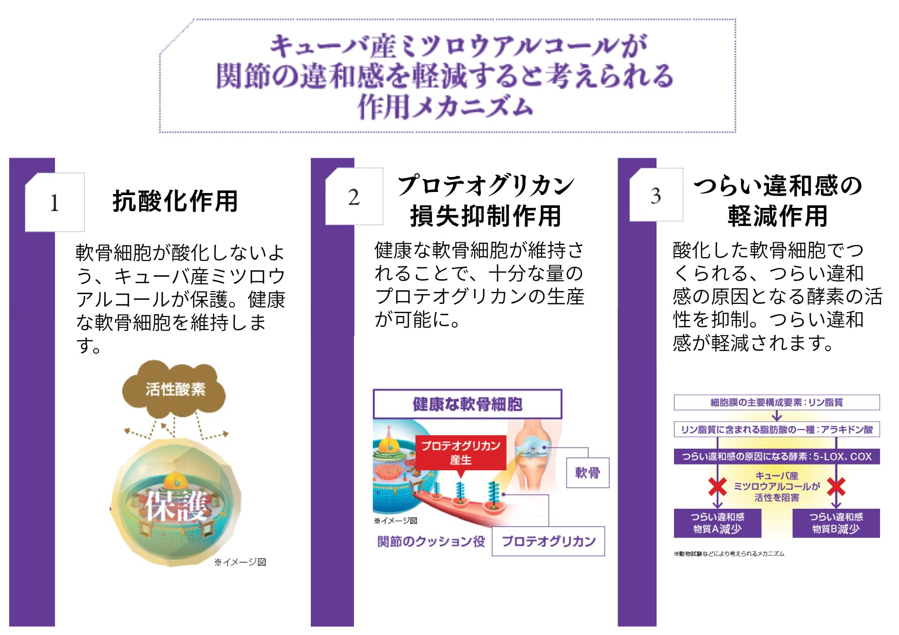 Amazon | レイデルミツロウA 関節 サプリ 機能性表示食品 ｜膝の曲げ 