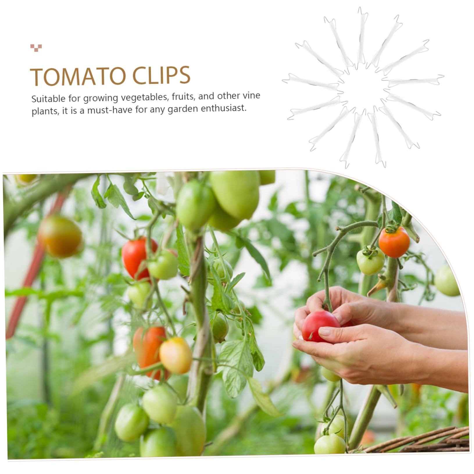 Supvox 4sätze Pflanzen-Clips Und Kletterhaken Für Tomaten Und Teiliges Gartenwerkzeug-Set Unterstützung Von Pflanzenranken Einfach Zu Bedienen Effizient Und Platzsparend