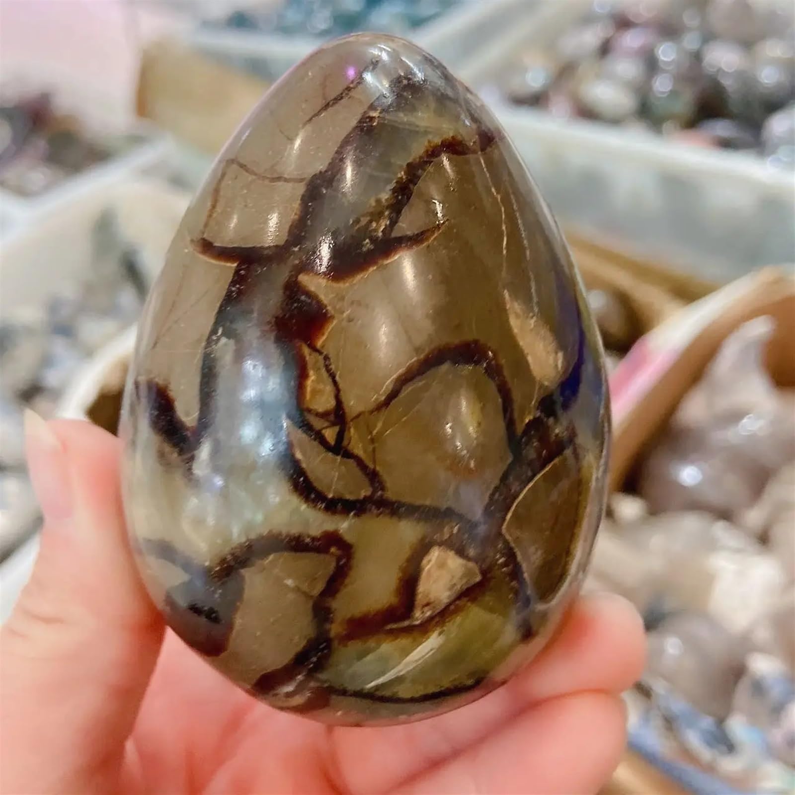 DPURPIWADY Beautiful Turtle Back Stones Dragon Eggs Crystals and Altars Witchcraft Supplies Home Room Spiritual Decor