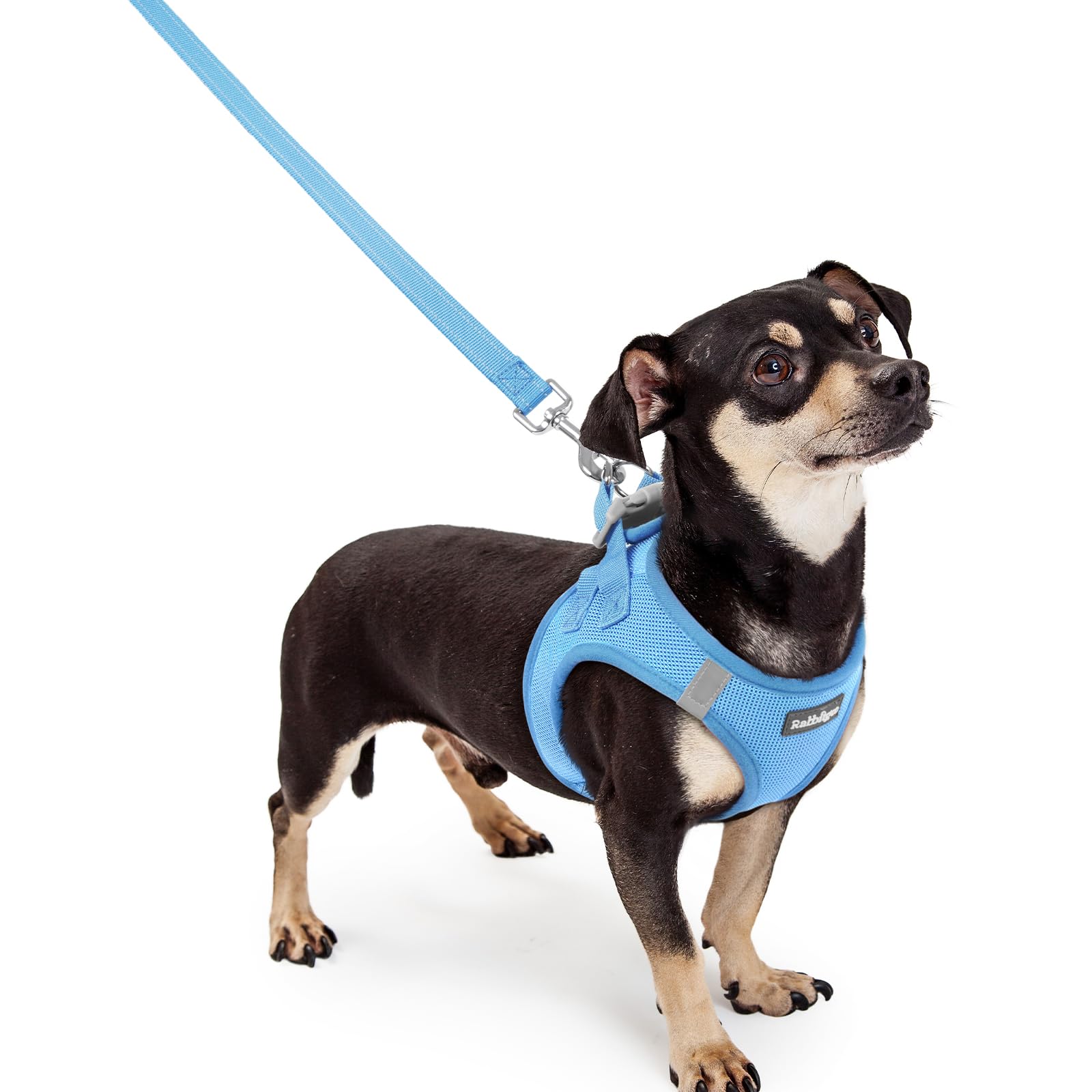 rabbitgoo Dog Harness Small Sized and Leash Set, Step-in Puppy Pet Vest