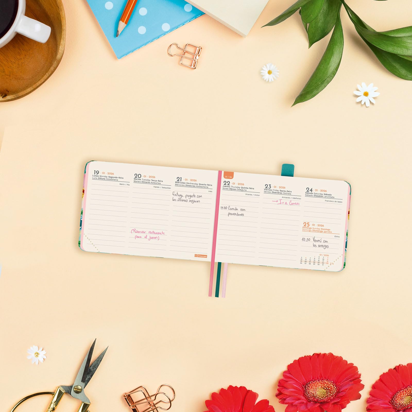 Finocam – Agenda 2026 Semaine Sur 2 Pages Présentation Verticale | Janvier – Décembre (12 Mois) | Agenda Annuel 2026 | Reliure Couverture Rigide Matelassée Berlin – Cotton – International