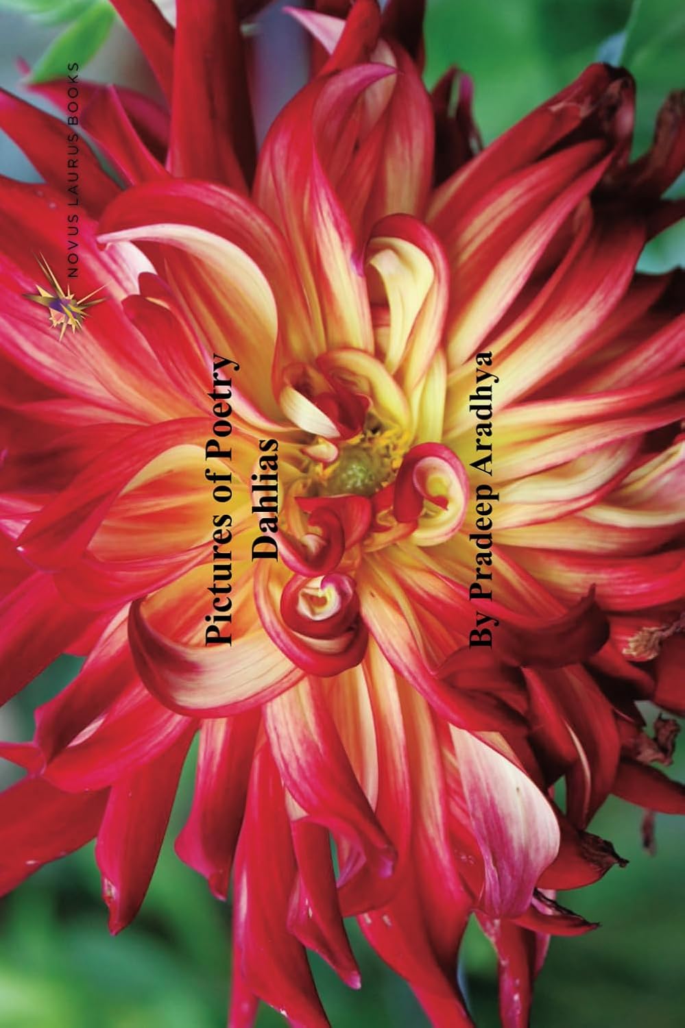 Pictures Of Poetry - Dahlias: Photobook of Dahlias and the poem that each inspired - by Pradeep Aradhya      Paperback – June 12, 2024