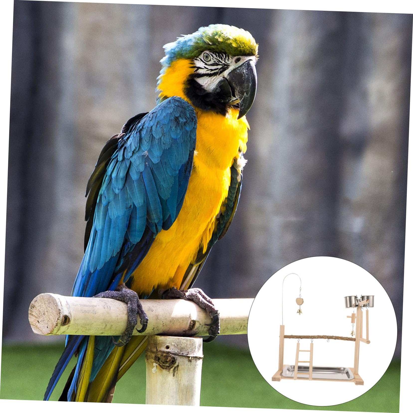 1juego Soporte De Madera para Pájaros con Escalera y Columpio Parque Interactivo para Periquitos y Loros Juguetes De Aves Seguros y Decorativos para Jaulas y Espacios