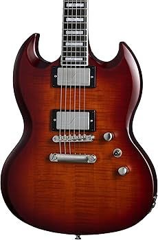 Amazon.com: Epiphone SG Prophecy, Aged Jet Bengal Tiger with Bag