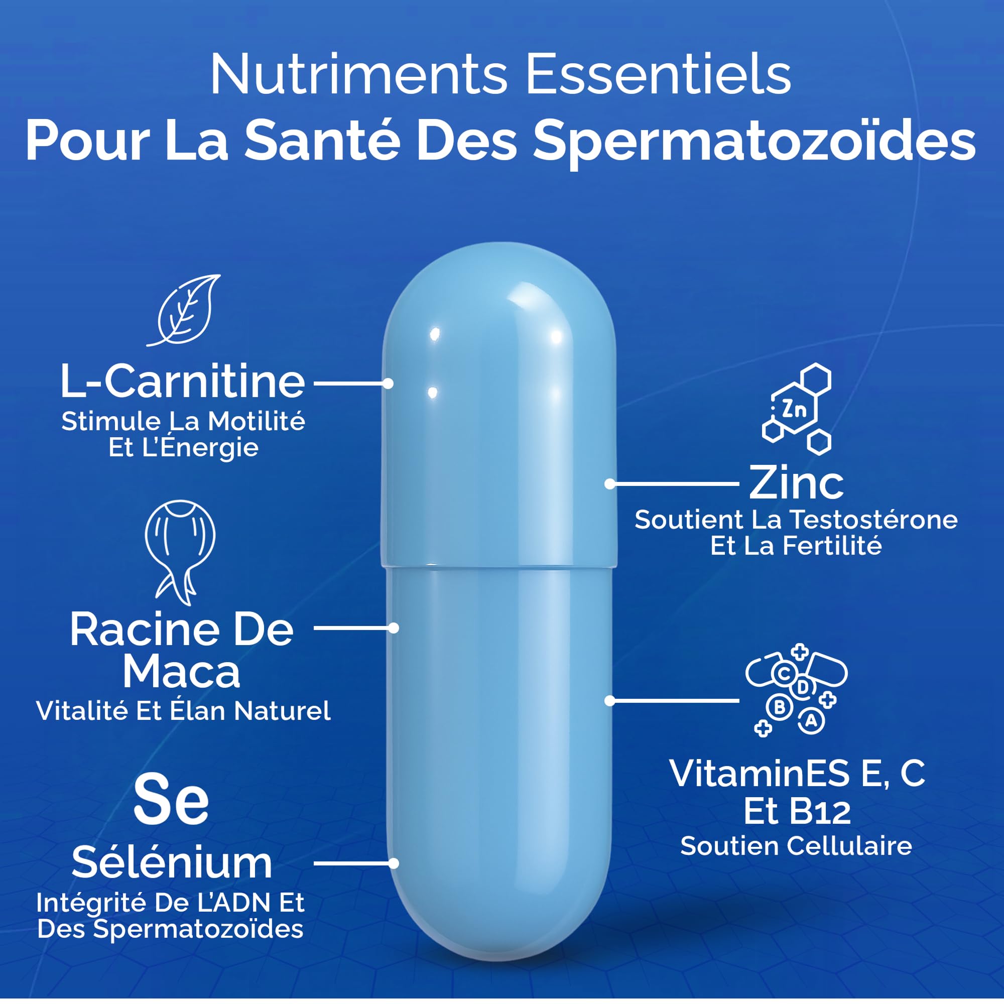 Conceive Plus Vitamines de fertilité pour homme - Stimule la testostérone, augmente la production de sperme - Zinc, folate, racine de Maca, sélénium, pilules - 60 capsules végétariennes