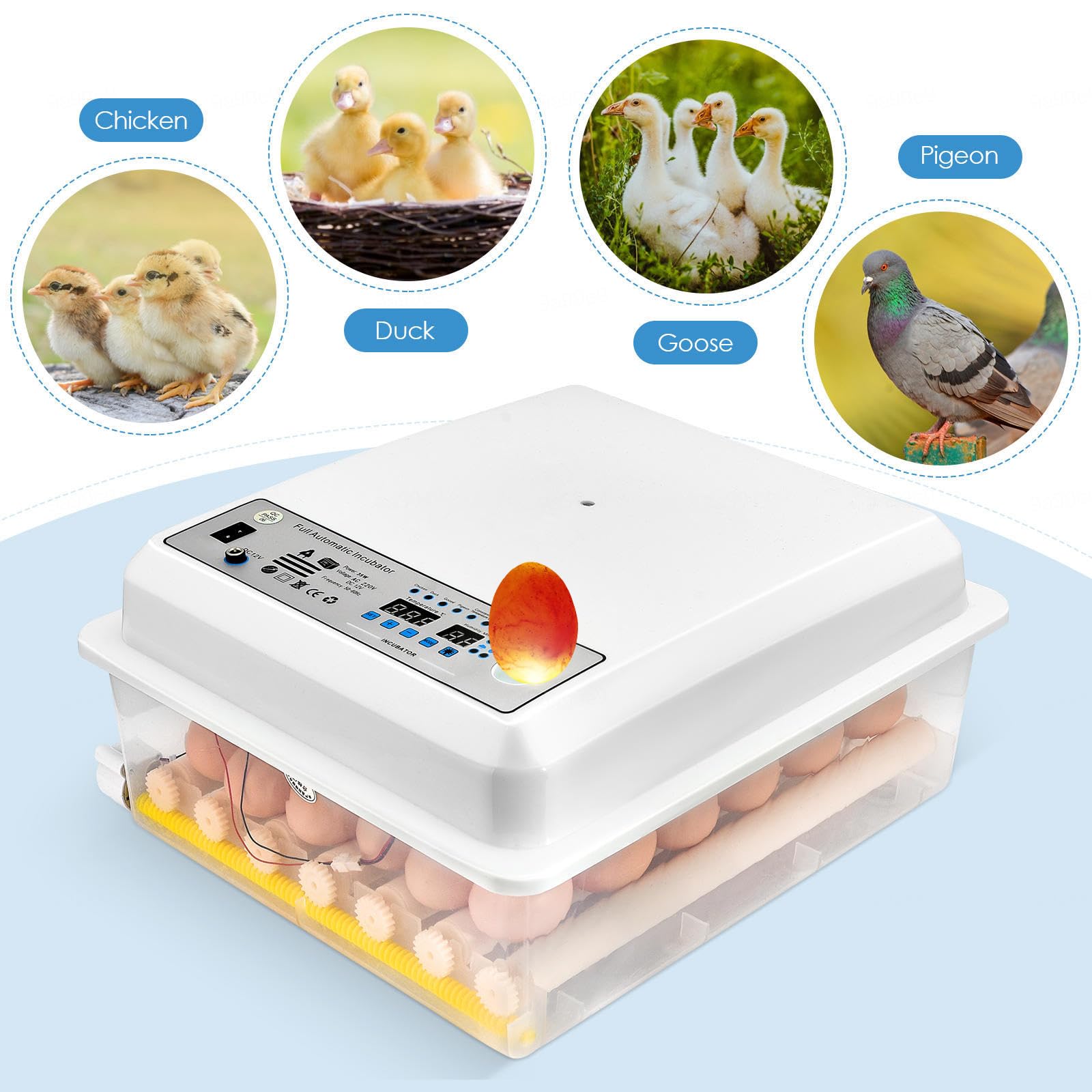 Imseigo Incubadoras De Huevos Para Incubar Huevos, Control Automático
